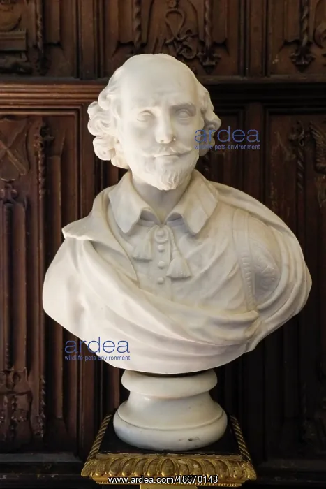 : Basingstoke, England. Bust of William Shakespeare : Basingstoke, England. Bust of William Shakespeare