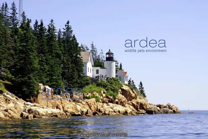 : Bass Harbor Lighthouse, Maine coast, New England : Bass Harbor Lighthouse, Maine coast, New England