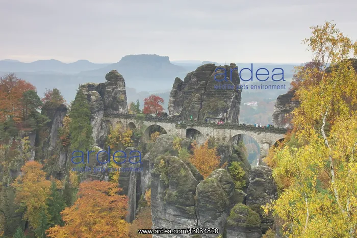 : Bastei Bridge in autumn Saxon Switzerland National : Bastei Bridge in autumn Saxon Switzerland National