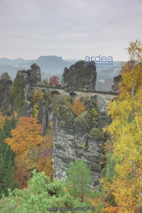 : Bastei Bridge in autumn Saxon Switzerland National