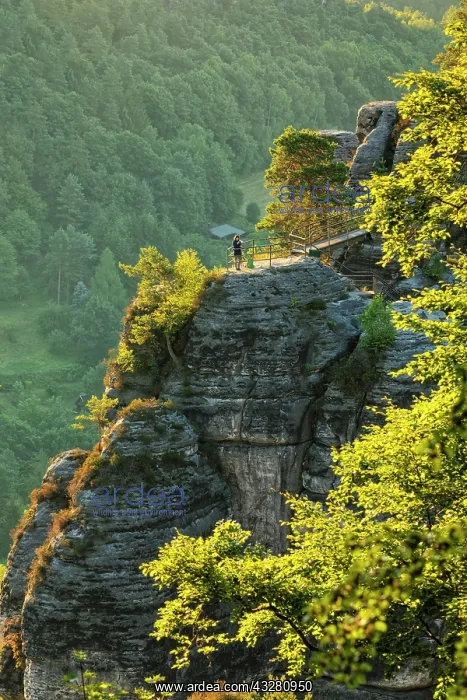 : Basteifelsen, Bastei near Rathen, Elbe Sandstone : Basteifelsen, Bastei near Rathen, Elbe Sandstone