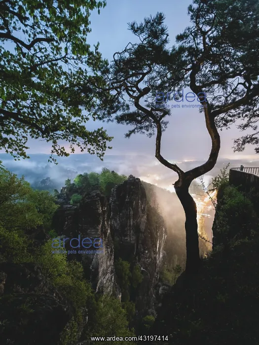 : Bastion view at night, Elbe Sandstone Mountains : Bastion view at night, Elbe Sandstone Mountains