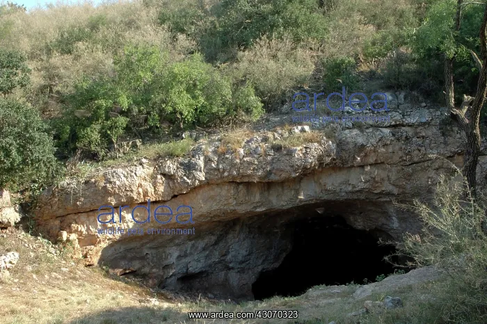 : Bat Cave in Texas : Bat Cave in Texas