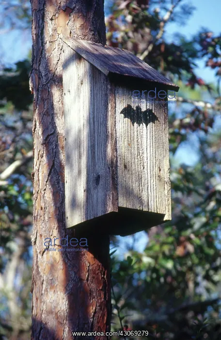 : Bat House. House for bats