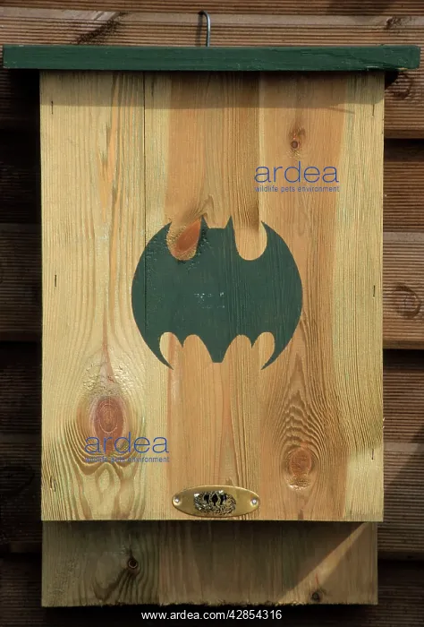  : Bat - nestbox