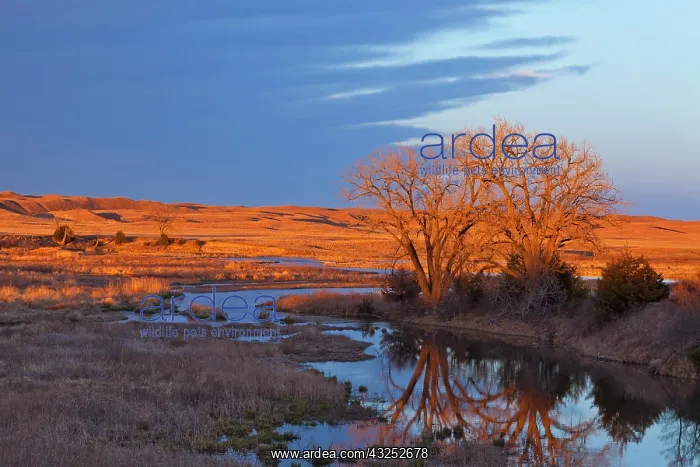 : Bathed in sunset light the Calamus River : Bathed in sunset light the Calamus River