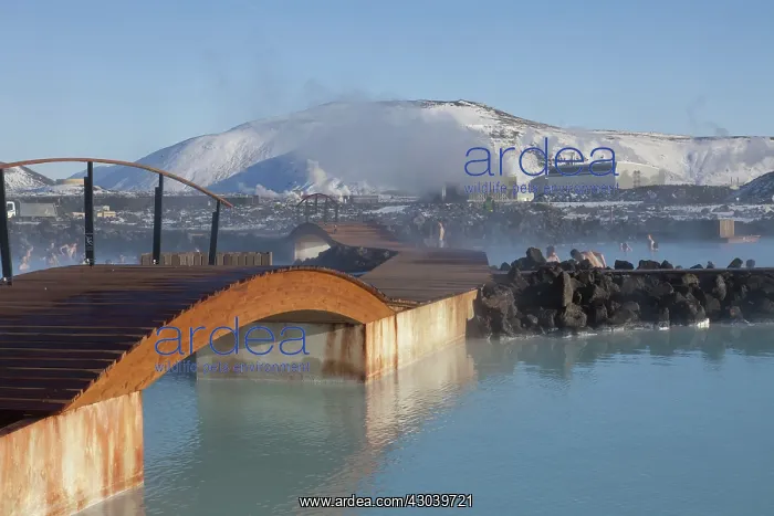 : Bathing in the geothermal spa Blue Lagoon : Bathing in the geothermal spa Blue Lagoon