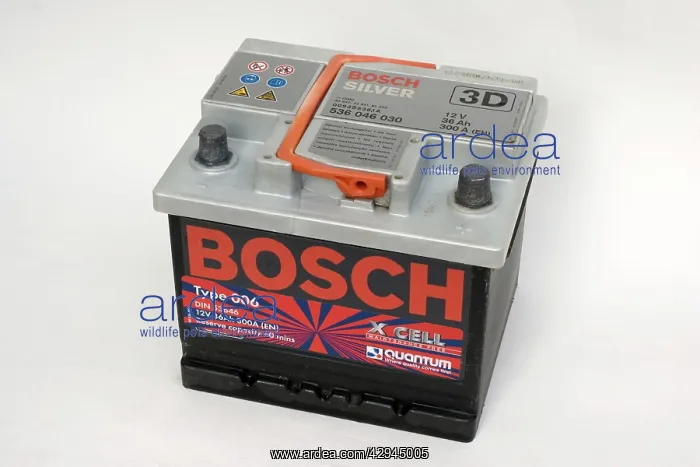 : Battery - Bosch silver lead acid 12 volt 36A amp : Battery - Bosch silver lead acid 12 volt 36A amp