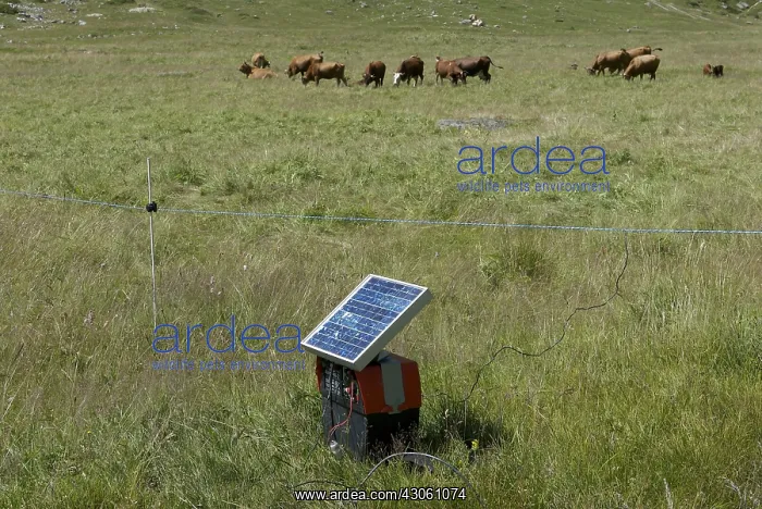 : Battery for an electric fence powered by solar panel France : Battery for an electric fence powered by solar panel France