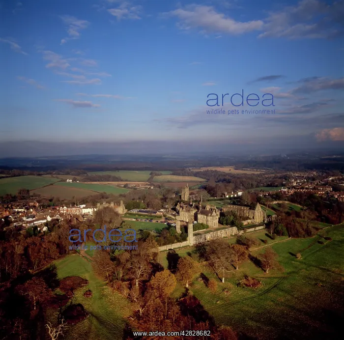 : Battle Abbey (St. Martin's Abbey), built on the : Battle Abbey (St. Martin's Abbey), built on the