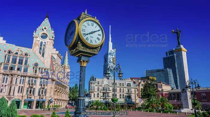 : BATUMI, GEORGIA - OCT 28, 2018: Architecture of : BATUMI, GEORGIA - OCT 28, 2018: Architecture of