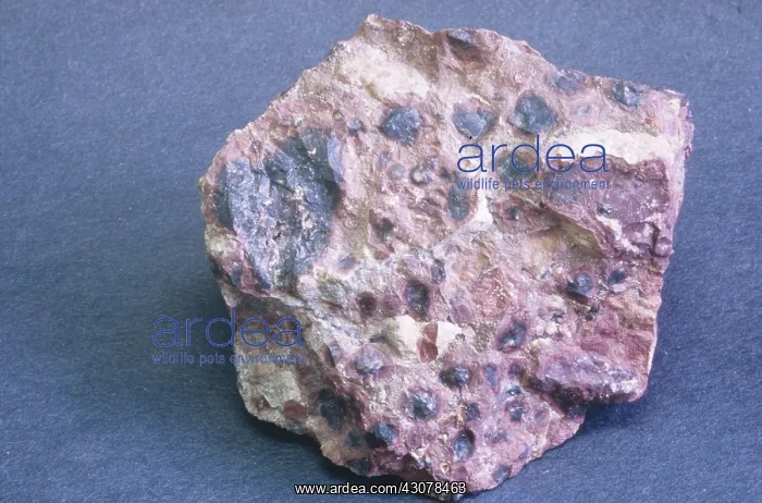 : Bauxite : Bauxite
