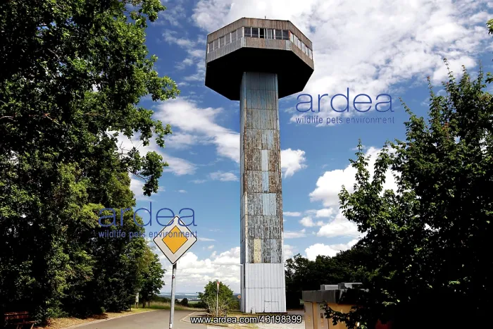 : Bavarian Tower on the Bachelberg, lookout tower : Bavarian Tower on the Bachelberg, lookout tower