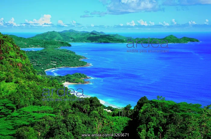 : Front bay Grand Anse, rear bay Anse Boileau and : Front bay Grand Anse, rear bay Anse Boileau and