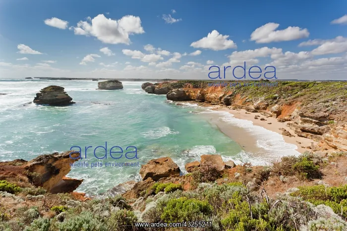 : Bay of Martyrs with Bay of Islands, Great : Bay of Martyrs with Bay of Islands, Great