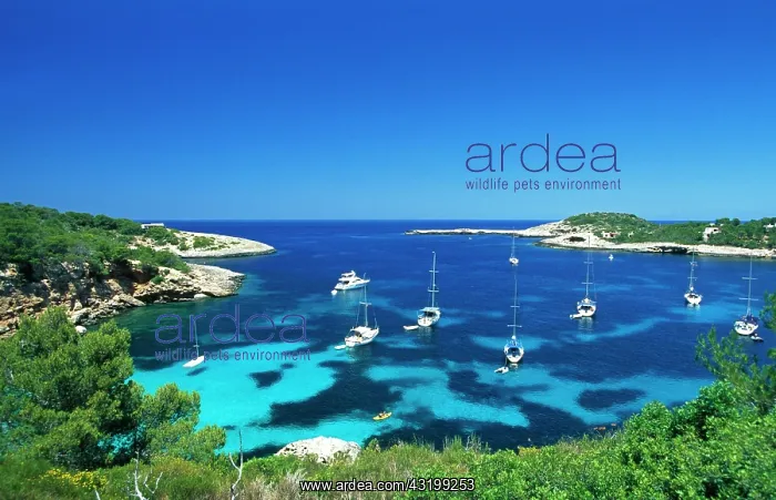 : Bay near Portinatx, Ibiza, Balearic Islands, Spain : Bay near Portinatx, Ibiza, Balearic Islands, Spain