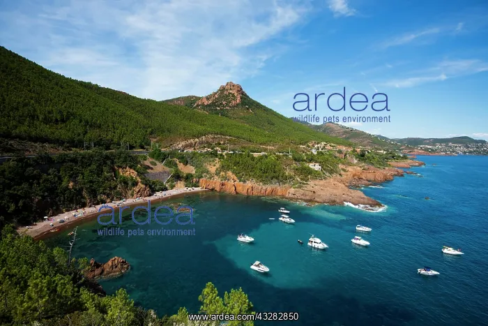 : Bay with pleasure boats, Massif de l Esterel : Bay with pleasure boats, Massif de l Esterel