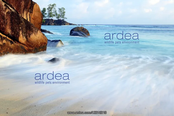 : Bay at Port Glaud, Mahe Island, Seychelles, Africa : Bay at Port Glaud, Mahe Island, Seychelles, Africa