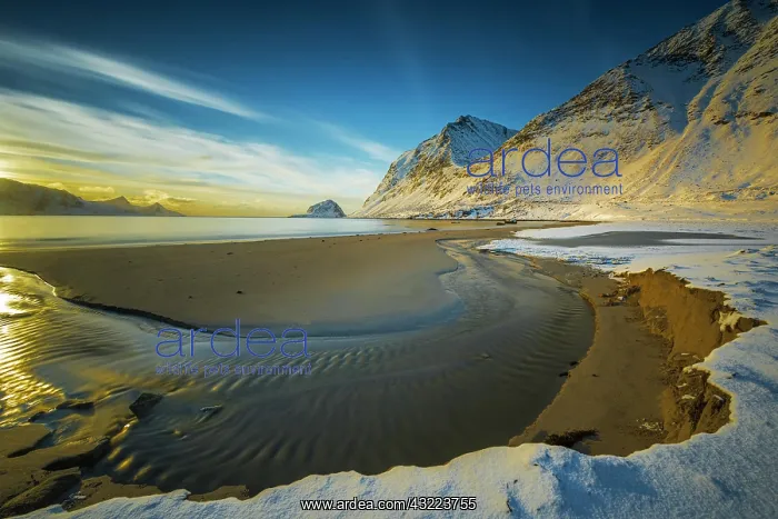  : Bay with sandy beach in winter, coastal landscape