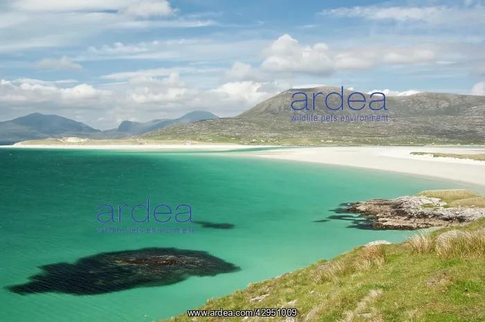 : Bay in Sound of Taransay - Harris - Outer Hebrides : Bay in Sound of Taransay - Harris - Outer Hebrides