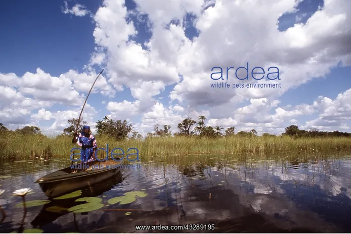 : BaYei woman with Makoro canoe : BaYei woman with Makoro canoe