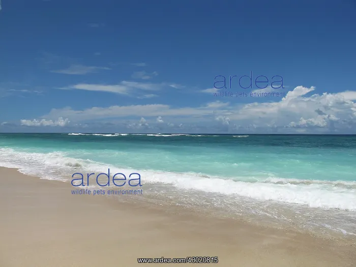  : Beach
