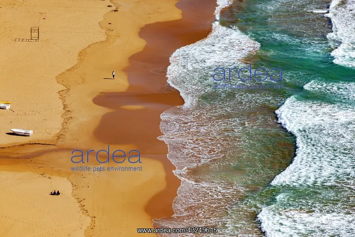 : Beach aerial in Alanya, Turkey : Beach aerial in Alanya, Turkey