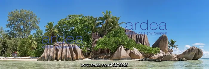 : Beach Anse Source d Argent with granite cliffs : Beach Anse Source d Argent with granite cliffs