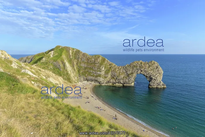 : Beach and Arch Durdle Door, West Lulworth, England : Beach and Arch Durdle Door, West Lulworth, England