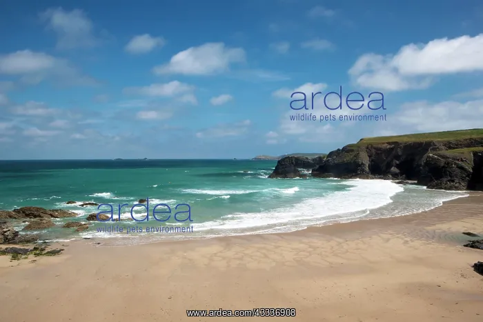 : Beach - (area used in TV series Poldark) : Beach - (area used in TV series Poldark)