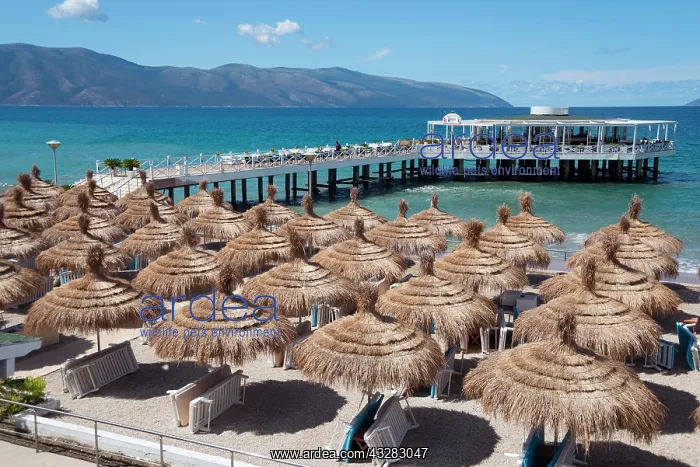 : Beach and Bar, Uji i Ftohte near Vlora, Riviera : Beach and Bar, Uji i Ftohte near Vlora, Riviera