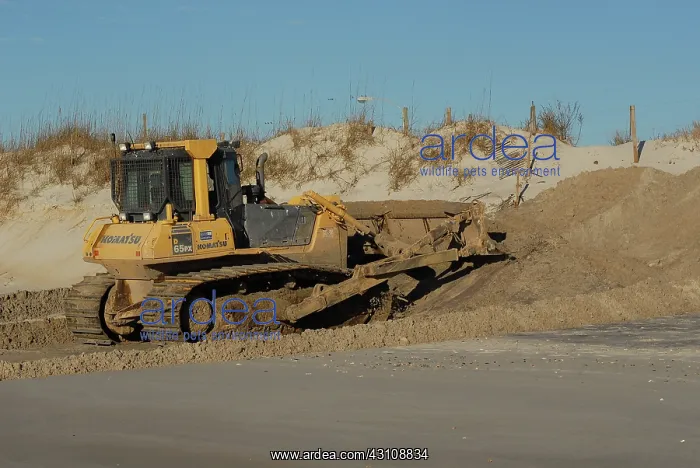 : Beach Bulldozing : Beach Bulldozing
