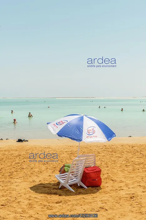  : Beach chair and parasol at the beach, Ein Bokek