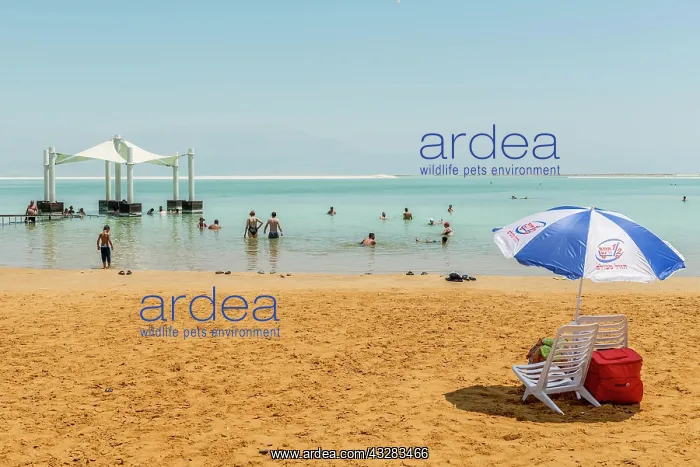  : Beach chair and parasol at the beach, Ein Bokek