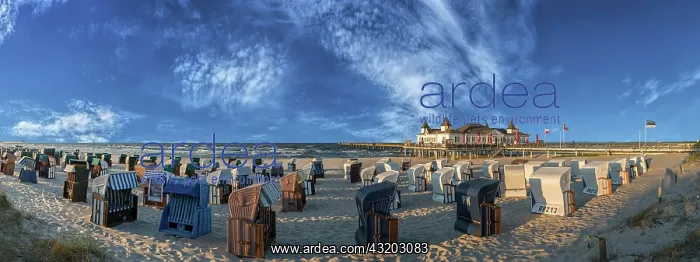 : Beach chairs with pier Ahlbeck, island Usedom, Baltic : Beach chairs with pier Ahlbeck, island Usedom, Baltic