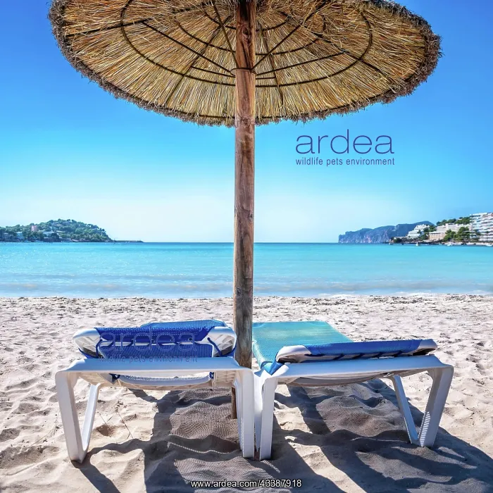 : beach chairs with sun umbrella : beach chairs with sun umbrella