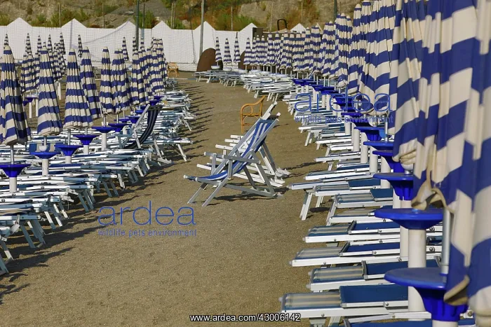 : Beach chairs and umbrellas on the beach at Vietri : Beach chairs and umbrellas on the beach at Vietri