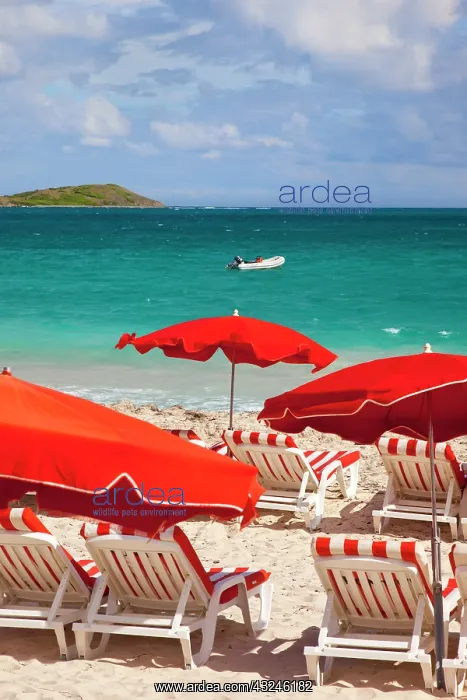: Beach chairs and umbrellas along Orient : Beach chairs and umbrellas along Orient