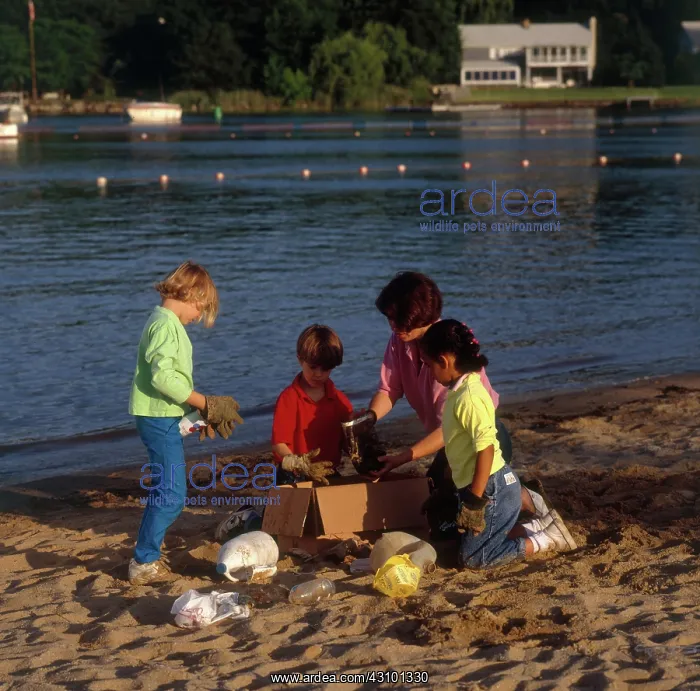 : Beach Cleanup : Beach Cleanup