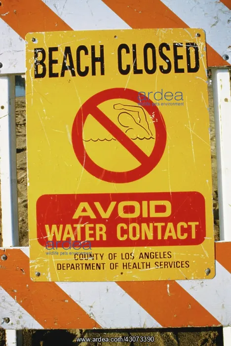 : Beach Closed Due to Pollution : Beach Closed Due to Pollution