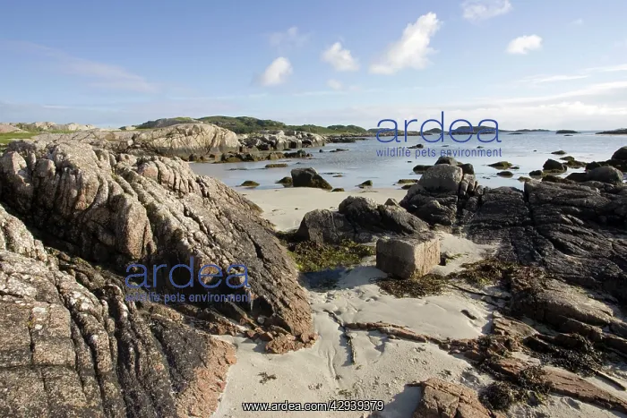 : Beach and coastal view from Fidden Farm : Beach and coastal view from Fidden Farm