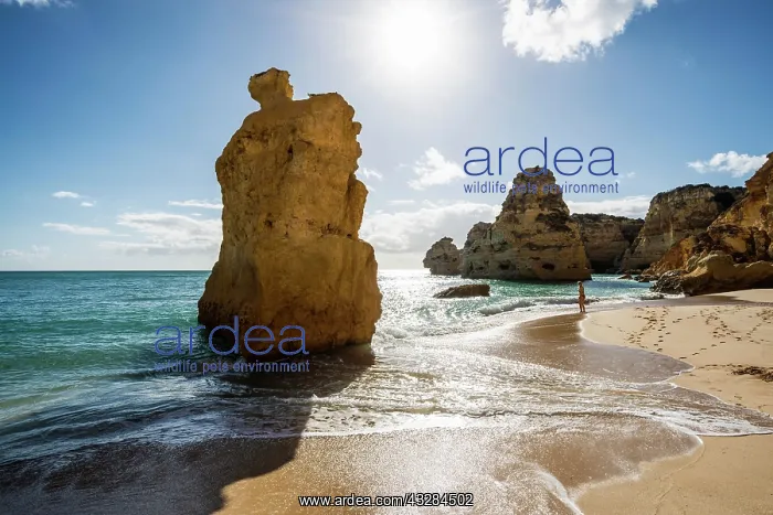 : Beach and coloured rocks, Praia da Marinha, Carvoeiro : Beach and coloured rocks, Praia da Marinha, Carvoeiro