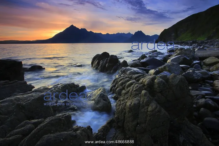  : Beach of Elgol, Scotland, Great Britain