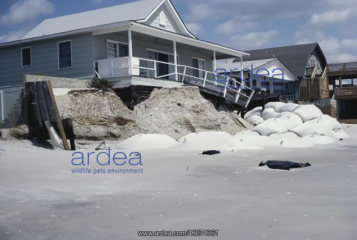 : Beach Erosion Destroying Houses, NC : Beach Erosion Destroying Houses, NC