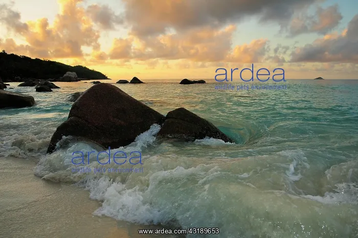 : Beach in the evening light, Anse Lazio, Praslin : Beach in the evening light, Anse Lazio, Praslin