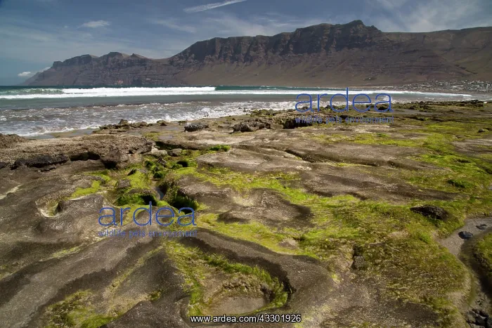: Beach at Famara - Playa de Famara - west coast of : Beach at Famara - Playa de Famara - west coast of