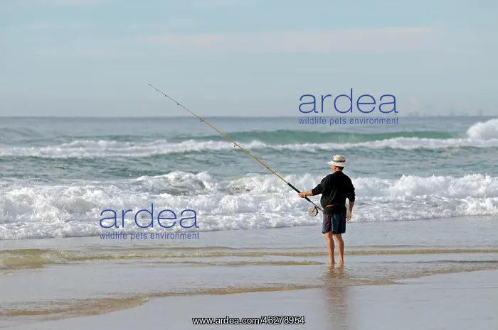 : Beach fisherman, Queensland, Australia, Oceania : Beach fisherman, Queensland, Australia, Oceania