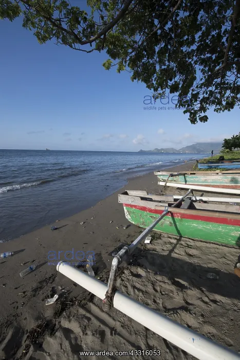 : Beach - with fishing boats - Dili, East Timor (Timor : Beach - with fishing boats - Dili, East Timor (Timor