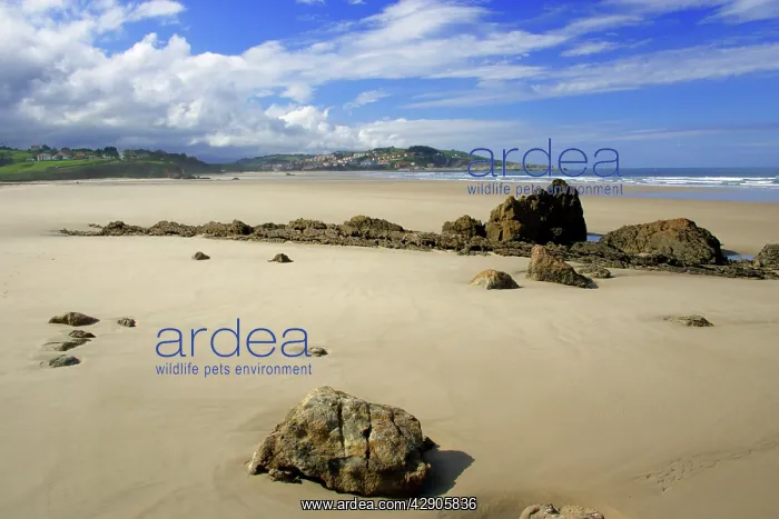 : Beach at fishing town St. Vincente de la Barquera : Beach at fishing town St. Vincente de la Barquera