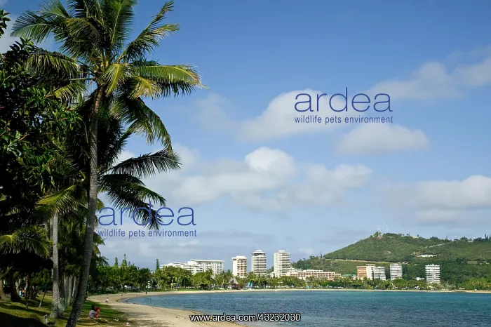 : Beach hotels, Noumea, New Caledonia : Beach hotels, Noumea, New Caledonia